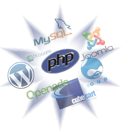 Custom Software Development